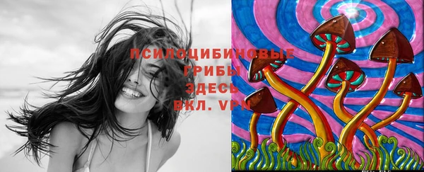 героин Алзамай